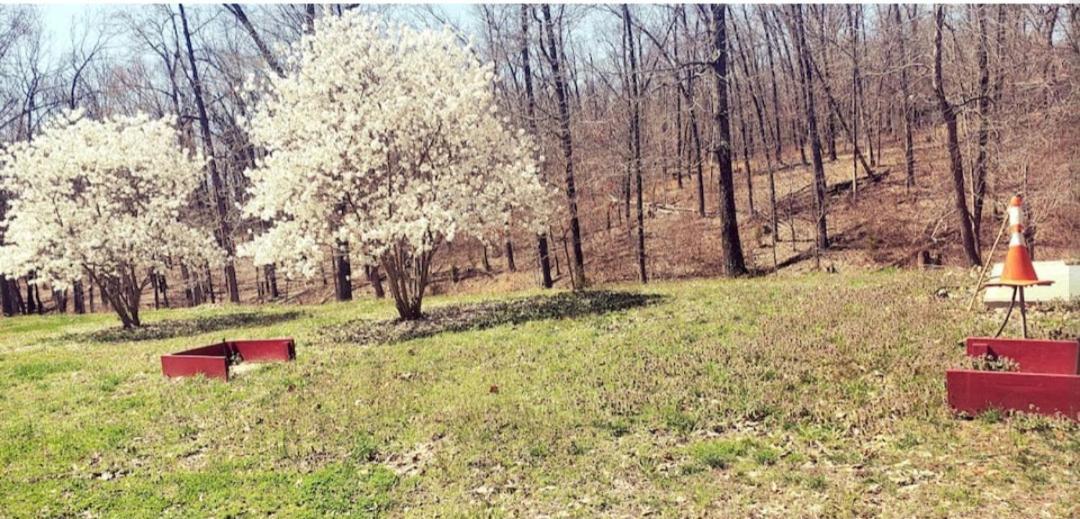 Relaxing Stay In The Country Unit 1 Ozark エクステリア 写真
